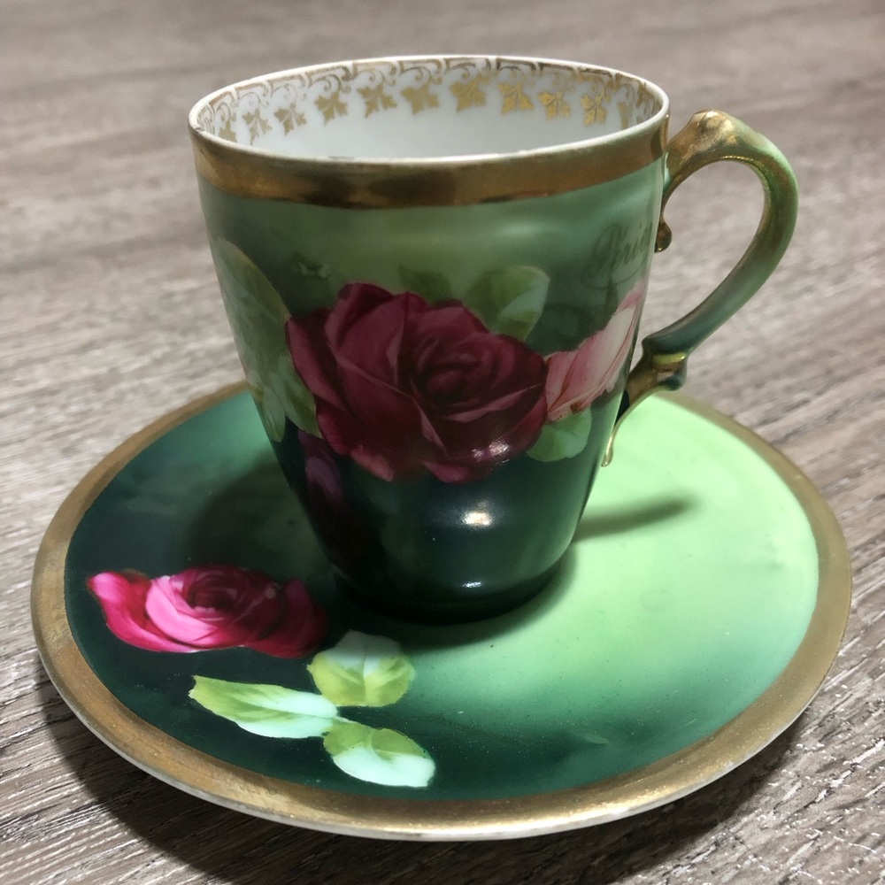 Antique Mignon Z.S. Co Bavaria Floral Roses Royal Vienna Tea Cup & Saucer green
